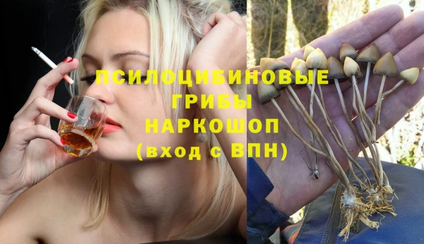 ГАЛЛЮЦИНОГЕННЫЕ ГРИБЫ Няндома