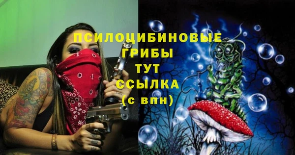 первитин Нязепетровск