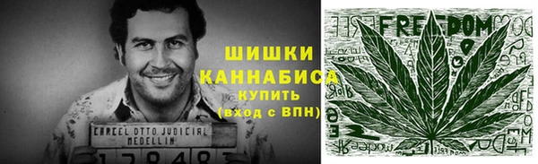 ГАЛЛЮЦИНОГЕННЫЕ ГРИБЫ Няндома