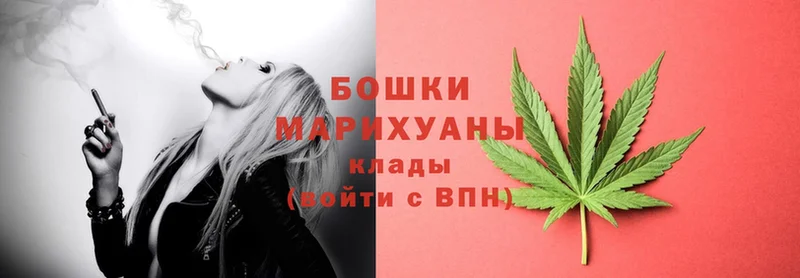 наркотики  Балей  Бошки марихуана OG Kush 